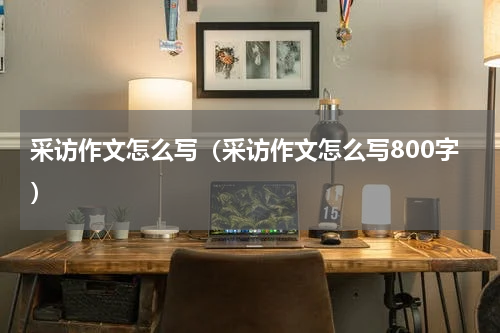 采访作文怎么写（采访作文怎么写800字）