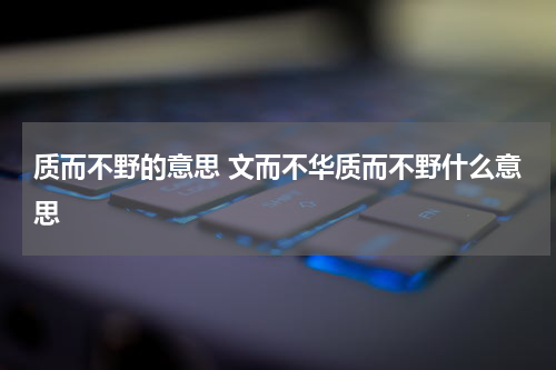 质而不野的意思 文而不华质而不野什么意思