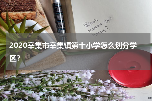 2020辛集市辛集镇第十小学怎么划分学区？