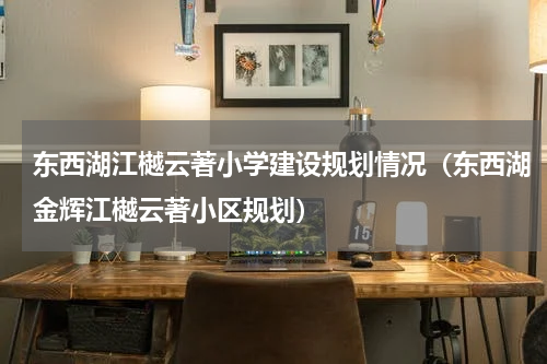 东西湖江樾云著小学建设规划情况（东西湖金辉江樾云著小区规划）