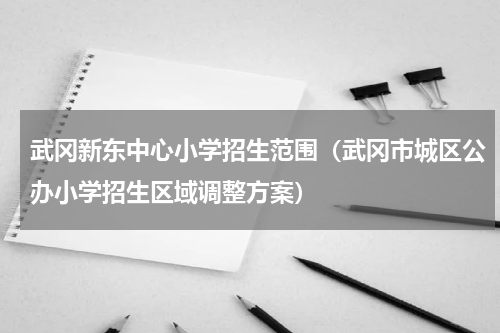 武冈新东中心小学招生范围（武冈市城区公办小学招生区域调整方案）