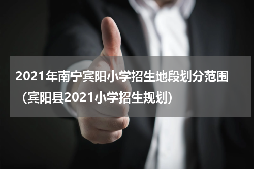 2021年南宁宾阳小学招生地段划分范围（宾阳县2021小学招生规划）