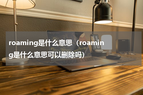 roaming是什么意思（roaming是什么意思可以删除吗）