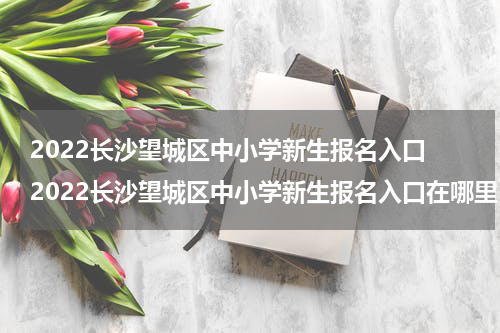 2022长沙望城区中小学新生报名入口 2022长沙望城区中小学新生报名入口在哪里