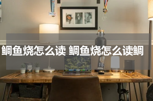 鲷鱼烧怎么读 鲷鱼烧怎么读鲷