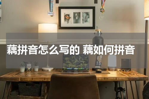 藕拼音怎么写的 藕如何拼音
