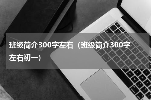 班级简介300字左右（班级简介300字左右初一）