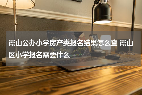 霞山公办小学房产类报名结果怎么查 霞山区小学报名需要什么