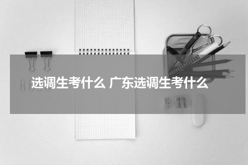 选调生考什么 广东选调生考什么