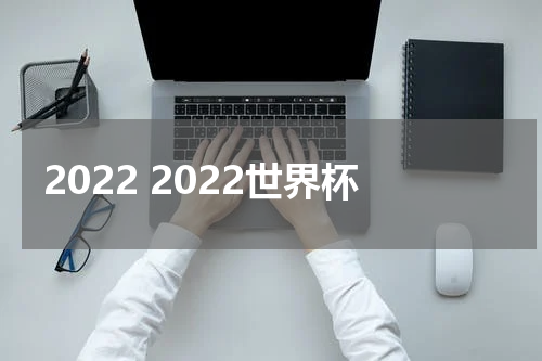 2022 2022世界杯