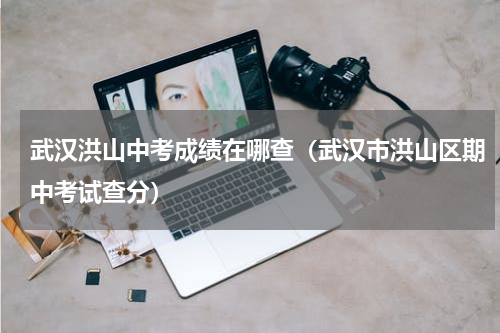 武汉洪山中考成绩在哪查（武汉市洪山区期中考试查分）