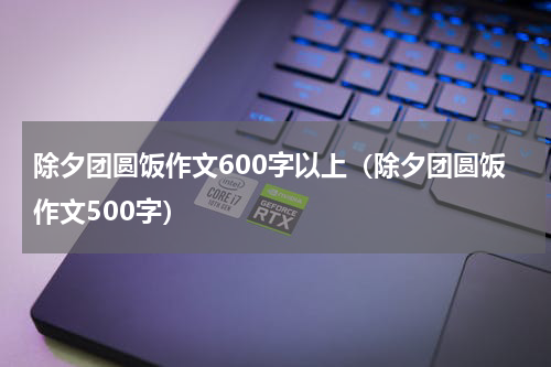 除夕团圆饭作文600字以上（除夕团圆饭作文500字）