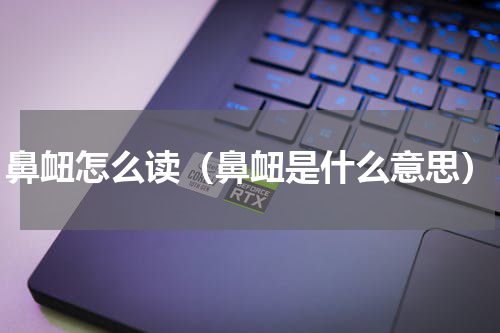 鼻衄怎么读（鼻衄是什么意思）