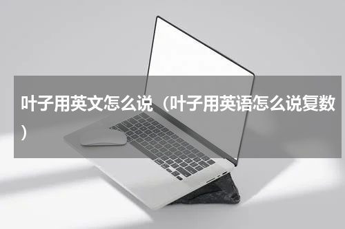 叶子用英文怎么说（叶子用英语怎么说复数）