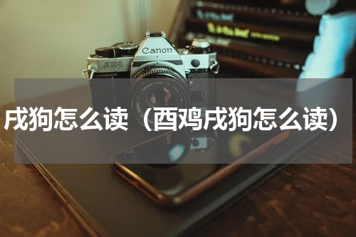 戌狗怎么读（酉鸡戌狗怎么读）
