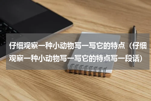 仔细观察一种小动物写一写它的特点（仔细观察一种小动物写一写它的特点写一段话）