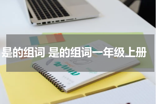 是的组词 是的组词一年级上册