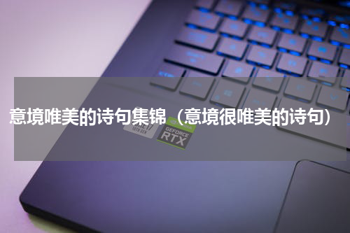 意境唯美的诗句集锦（意境很唯美的诗句）