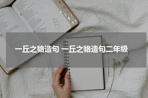 一丘之貉造句 一丘之貉造句二年级