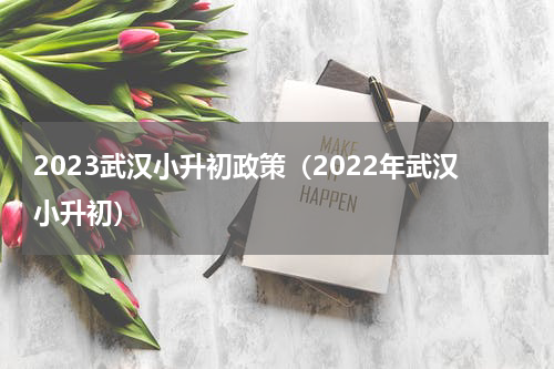 2023武汉小升初政策（2022年武汉小升初）