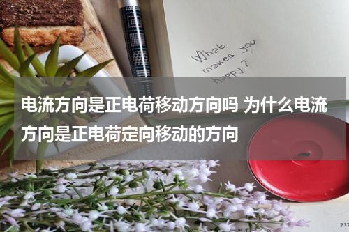 电流方向是正电荷移动方向吗 为什么电流方向是正电荷定向移动的方向