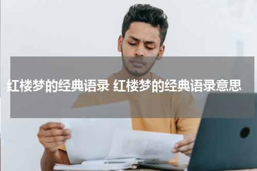 红楼梦的经典语录 红楼梦的经典语录意思