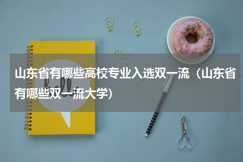 山东省有哪些高校专业入选双一流（山东省有哪些双一流大学）