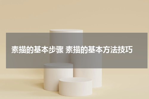 素描的基本步骤 素描的基本方法技巧