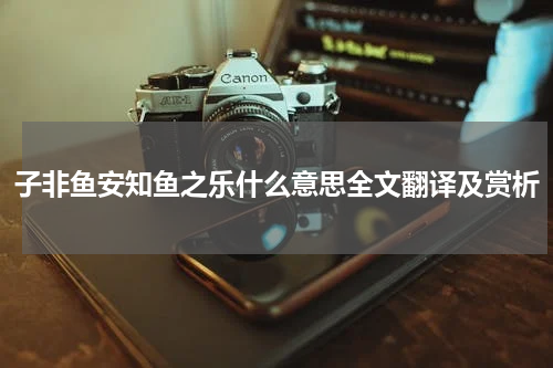 子非鱼安知鱼之乐什么意思全文翻译及赏析