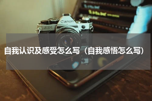 自我认识及感受怎么写（自我感悟怎么写）