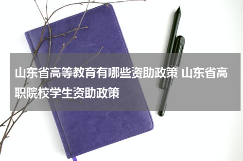 山东省高等教育有哪些资助政策 山东省高职院校学生资助政策