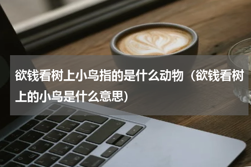 欲钱看树上小鸟指的是什么动物（欲钱看树上的小鸟是什么意思）