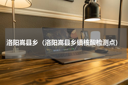 洛阳嵩县乡（洛阳嵩县乡镇核酸检测点）