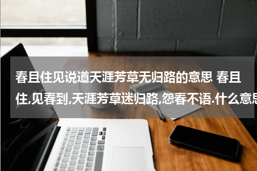 春且住见说道天涯芳草无归路的意思 春且住,见春到,天涯芳草迷归路,怨春不语.什么意思