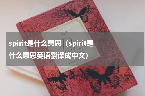 spirit是什么意思（spirit是什么意思英语翻译成中文）