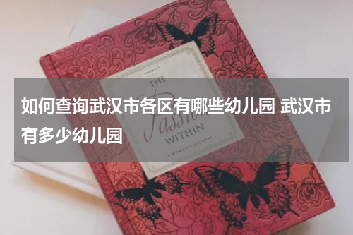 如何查询武汉市各区有哪些幼儿园 武汉市有多少幼儿园