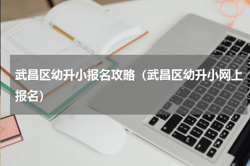 武昌区幼升小报名攻略（武昌区幼升小网上报名）