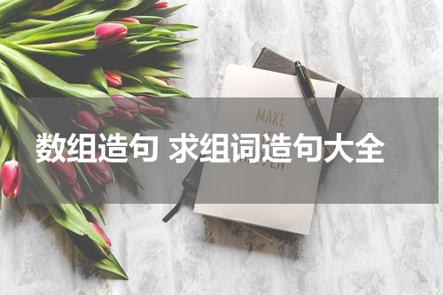 数组造句 求组词造句大全