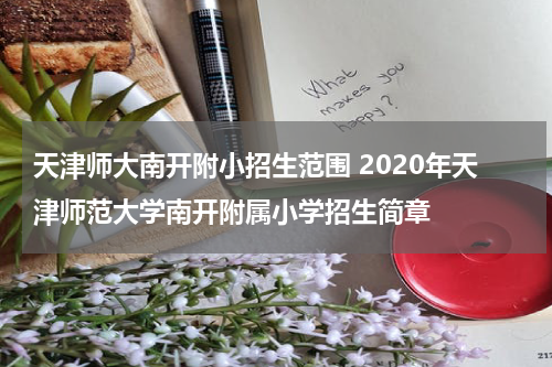 天津师大南开附小招生范围 2020年天津师范大学南开附属小学招生简章