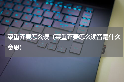 菜重芥姜怎么读（菜重芥姜怎么读音是什么意思）