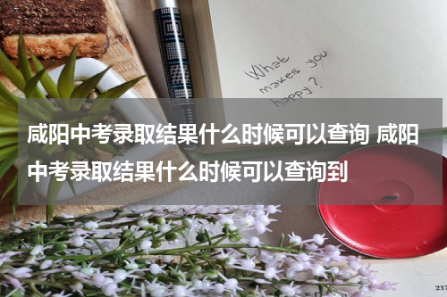 咸阳中考录取结果什么时候可以查询 咸阳中考录取结果什么时候可以查询到