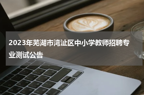 2023年芜湖市湾沚区中小学教师招聘专业测试公告