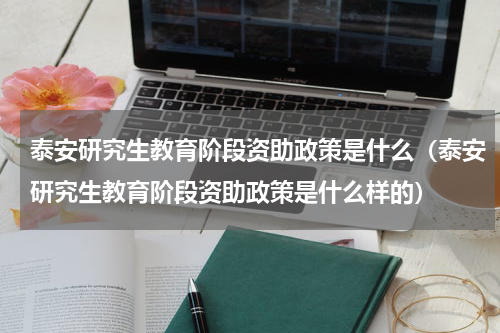 泰安研究生教育阶段资助政策是什么（泰安研究生教育阶段资助政策是什么样的）
