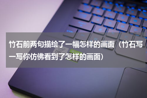 竹石前两句描绘了一幅怎样的画面（竹石写一写你仿佛看到了怎样的画面）