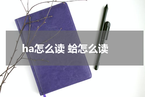 ha怎么读 蛤怎么读