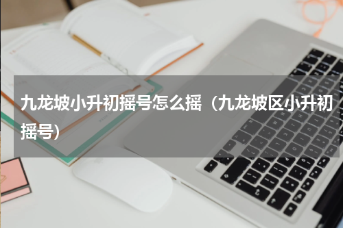 九龙坡小升初摇号怎么摇（九龙坡区小升初摇号）