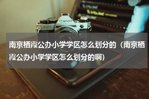南京栖霞公办小学学区怎么划分的（南京栖霞公办小学学区怎么划分的啊）