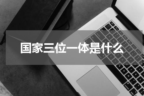 国家三位一体是什么