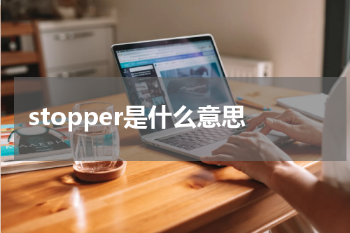 stopper是什么意思