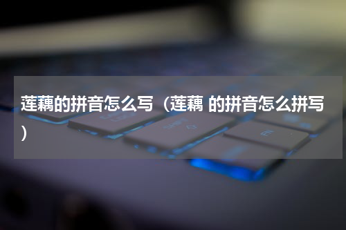 莲藕的拼音怎么写（莲藕 的拼音怎么拼写）